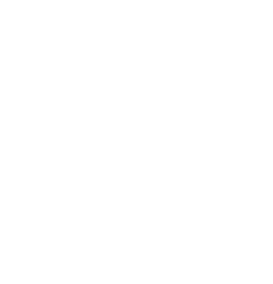 Stokely Discs